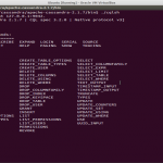 Ubuntu [Running] – Oracle VM VirtualBox_022