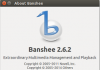 banshee V