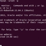 mysql database