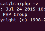 php version
