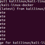 Pull Kali Linux docker