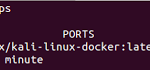 Docker Kali