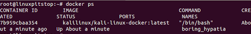 Pull Kali Linux docker