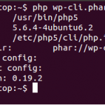 PHP CLI