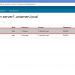 PuppetCA on server1.unixmen.local – Google Chrome_002