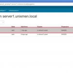 PuppetCA on server1.unixmen.local – Google Chrome_002