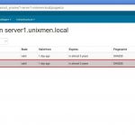 PuppetCA on server1.unixmen.local – Google Chrome_016