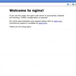 Welcome to nginx! – Google Chrome_001