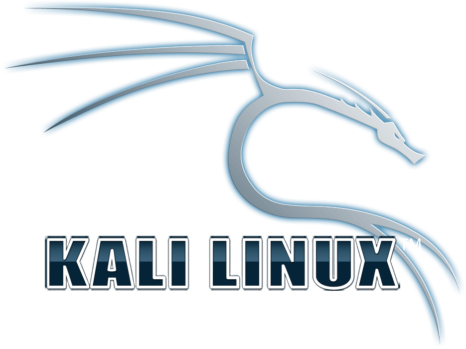 kali linux custom image downloads