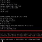 [screen 0: root@server:~] _001