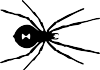 black-widow-spider-drawing