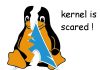 kernel panic