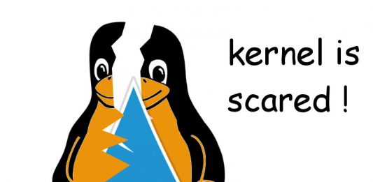 kernel panic