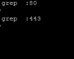 netstat-ssl