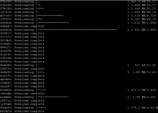 docker pull wordpress