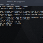 apache2 install