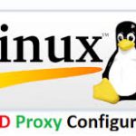 squid proxy server