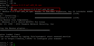 Nessus RPM
