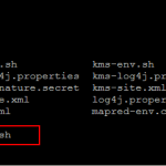 hadoop ENvironment variables