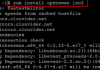 openswan