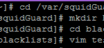 squidGuard configure