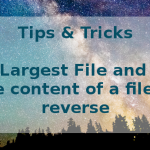 Find Largest File and Print the content of a file in reverse