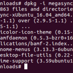 MegaSync Installed