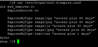 mod_expire setting