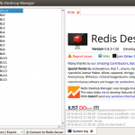 Redis Server