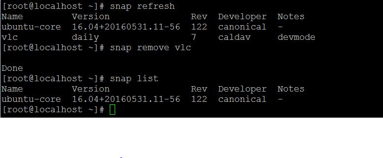 snap remove