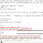 vagrant plugin install