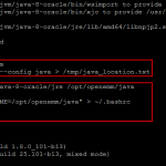 java environment