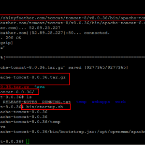 mysql setup | Unixmen