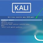 install-kali-nstallation-options