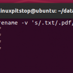 rename-with-verbose-output