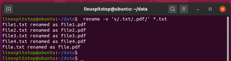rename command with verbose output