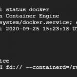 Check docker status