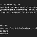 check if Nginx is running