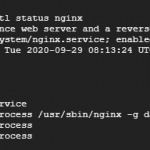 Confirm Nginx status