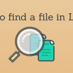 How to find a file in Linux