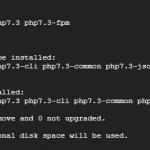 Install php7.3