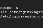 Test Nginx configuration