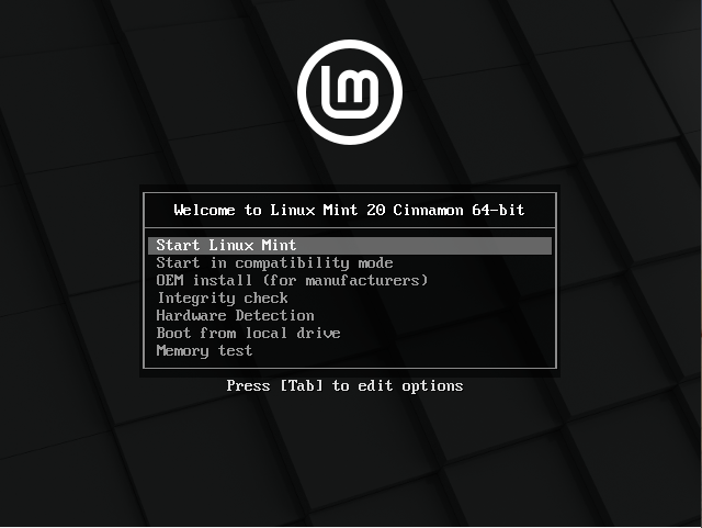 Linux-Mint-20-installation-options