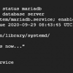 check mariadb status