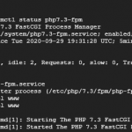 check status og php7.3-fpm