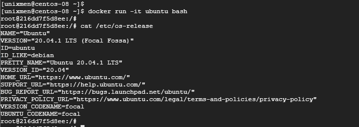 Docker Centos Run Docker Centos Run