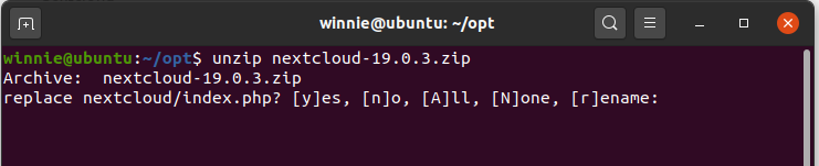 unzip prompt to overwrite file