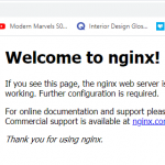 welcome to Nginx