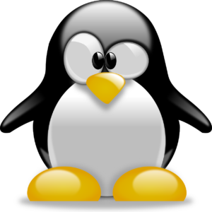 linux seo