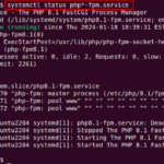 Check-PHP-Status